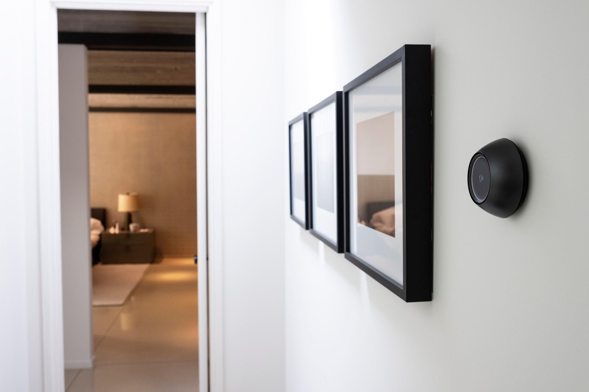 Voice Control - Smart Life Integration